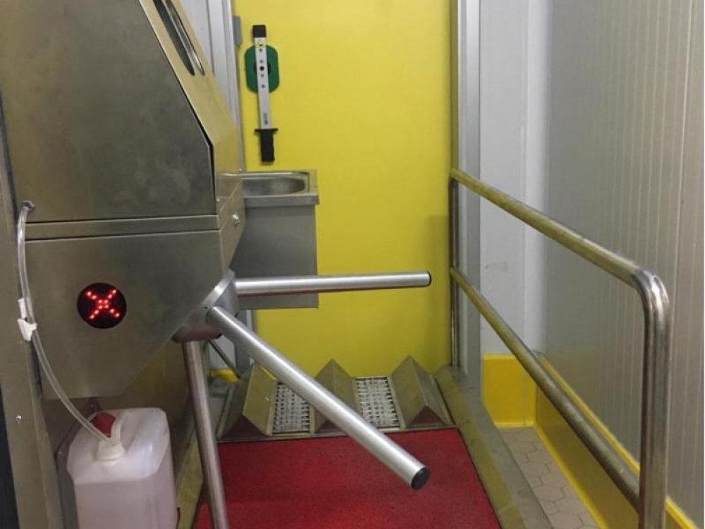 global_tavukculuk_1638173400