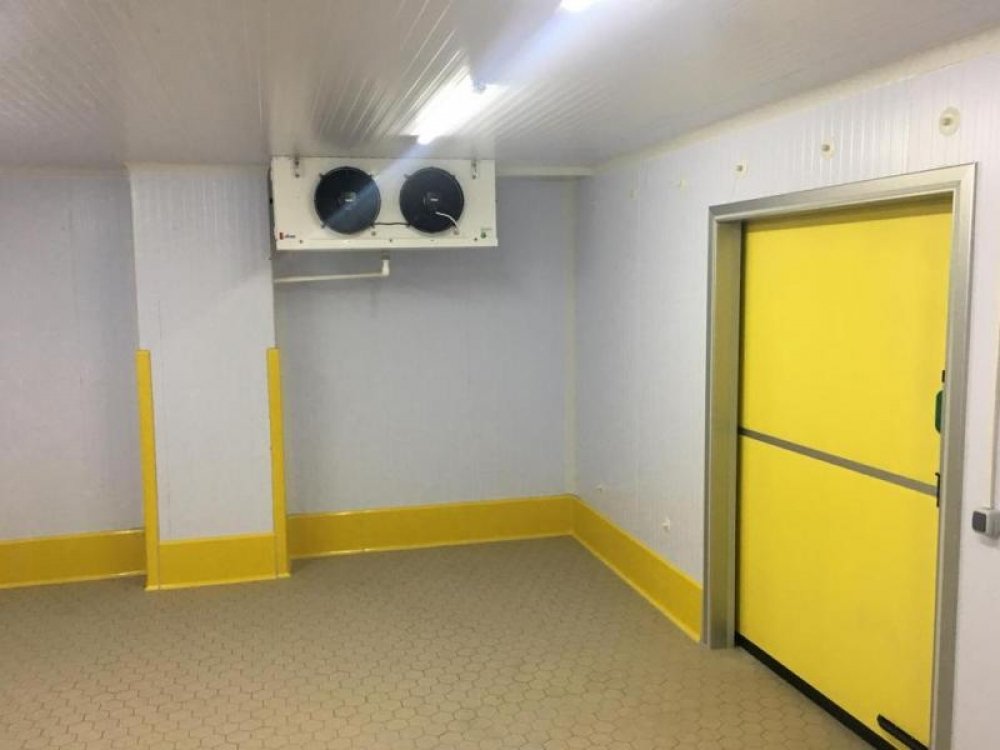 global_tavukculuk_1638173416