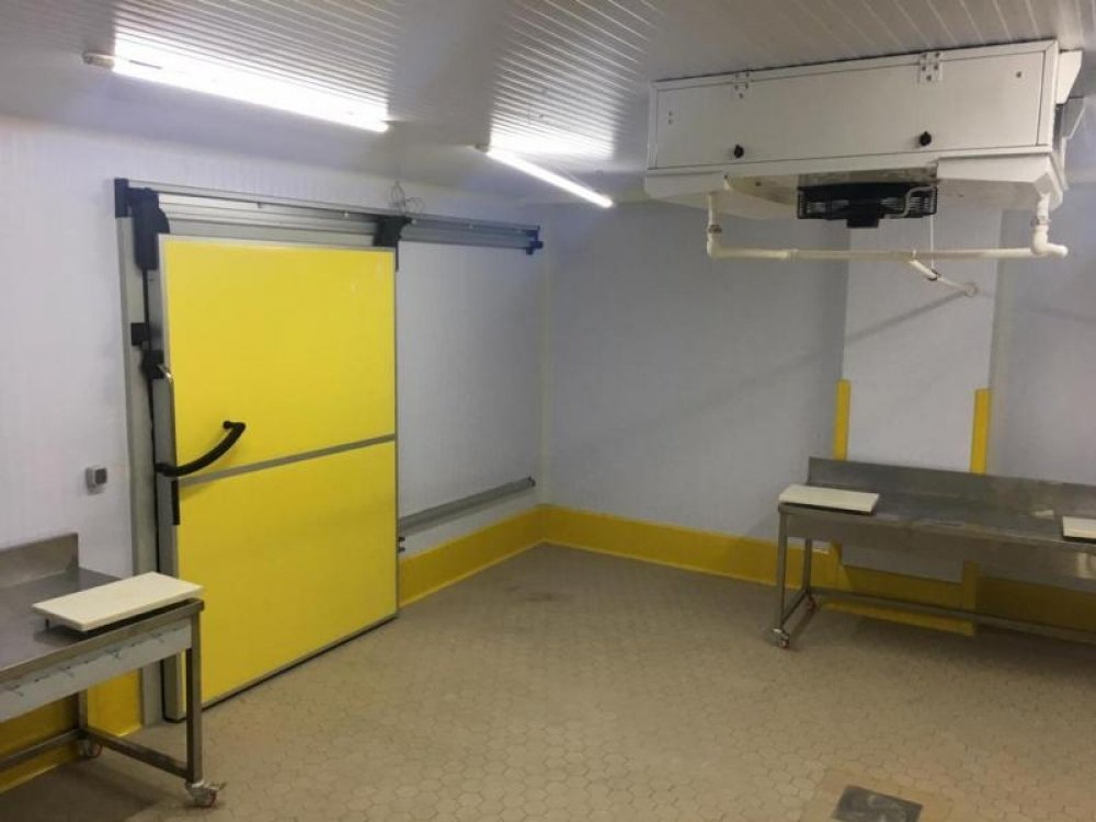 global_tavukculuk_1638173451